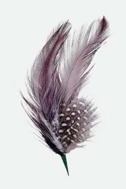 Brixton Hat Feather