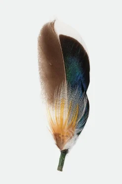 Brixton Hat Feather