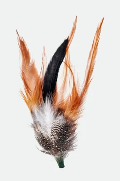 Brixton Hat Feather