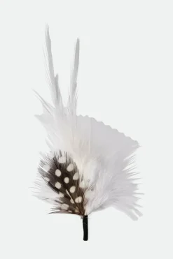 Brixton Hat Feather