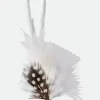 Hat Feather