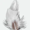 Robert Hat Feather