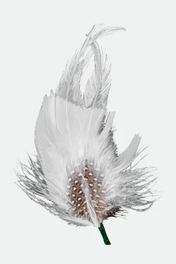 Robert Hat Feather
