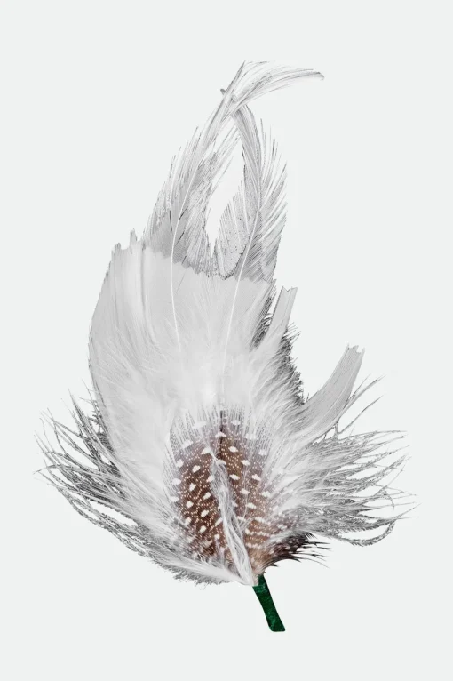 Robert Hat Feather